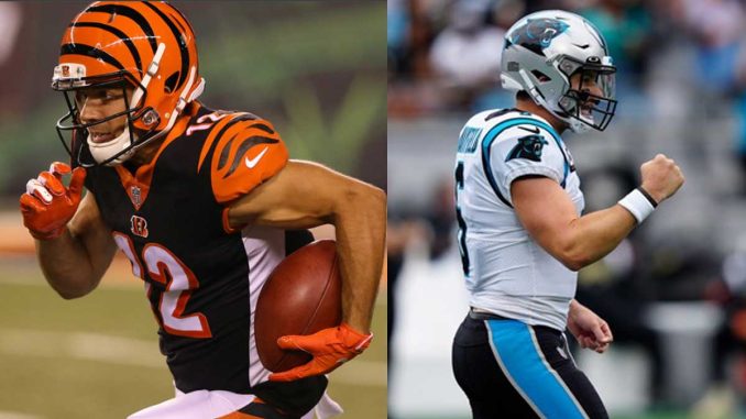 Bengals vs Panthers